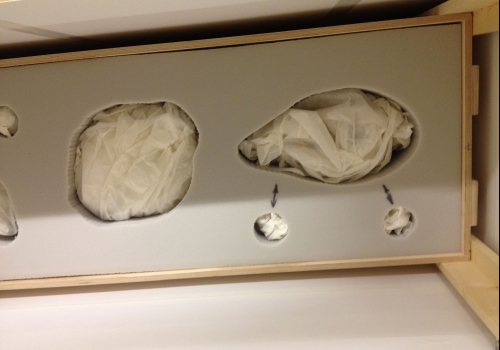 Romanovs &amp; Revolutie