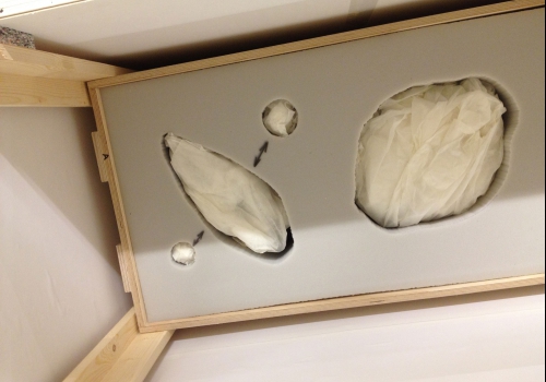 Romanovs &amp; Revolutie