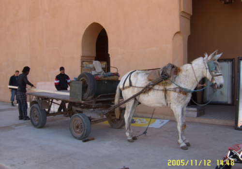 Respect! Opbouw tentoonstelling