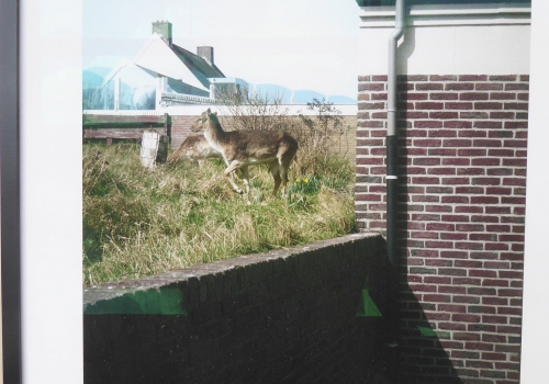 Imaginary Encounters